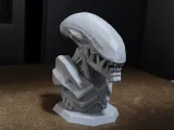 Xenomorph (Alien) Lowpoly-0