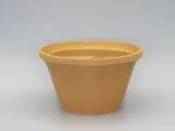 Kaktüs diş fırçası-3