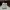 Pet sim OG Cat