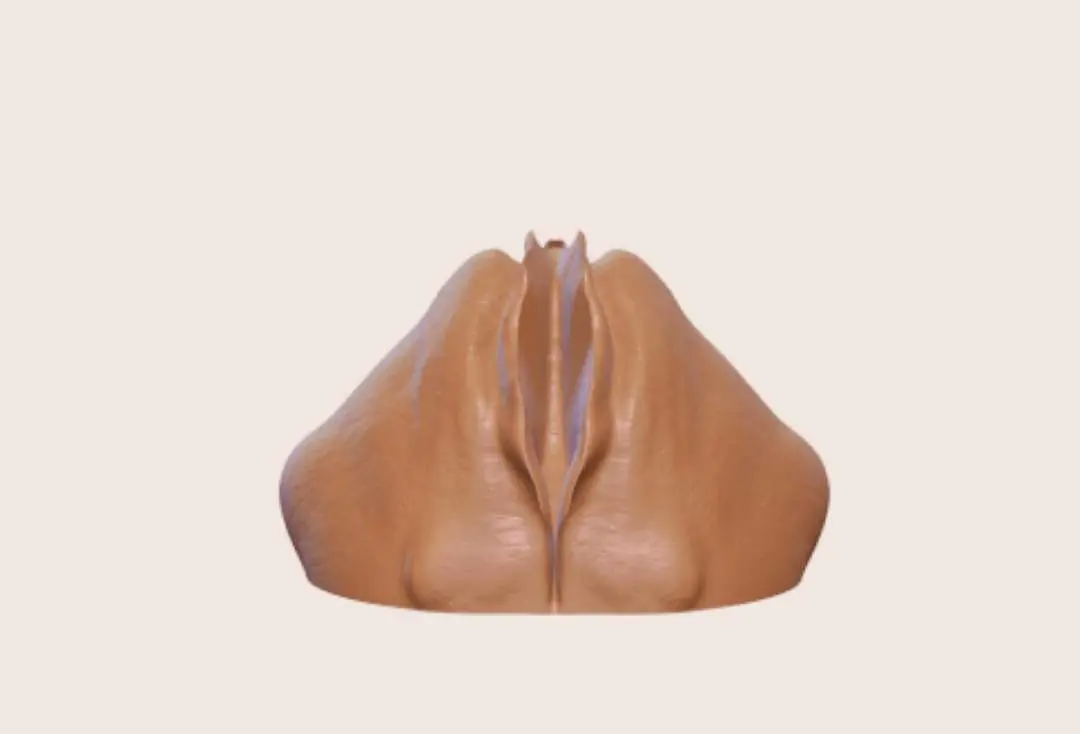 bachelor party vagina ornament 