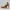 Crimson Oasis Muse – Royal Desert Collectible Figurine
