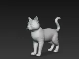 gatinho-2