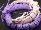 shenron-long1-0