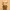 Chibi Rastapopoulos tintin