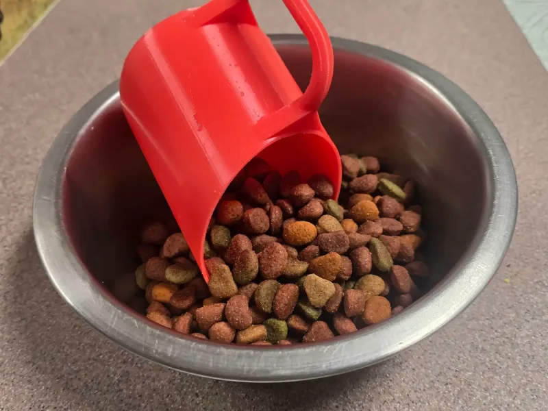 Pet Food Scoop