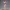 Silver Shine Sweetheart – Ecchi Soft Glam