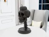 Skull with Apple-7