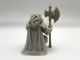 Lion Guardian-3