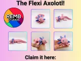 Flexi Border Collie | Print-in-place | No Support-7