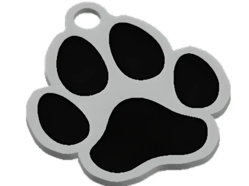 Llavero de Pata de Perro