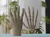 Human Hand Anatomy Bones 3D Print Model-4