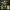 Tiny Heroes – Dark Souls Edition – Pack (6 Models)