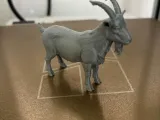 Mountain Goat-3D Printed Alpine Figurine-4
