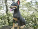 Dog beauceron-3