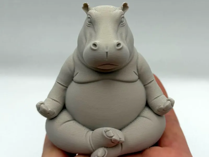 Meditating Hippo