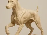 Doberman-0