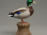 Duck-0