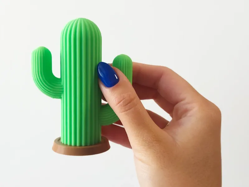 Cactus tandenstokerhouder