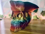 chapeau pirate-3