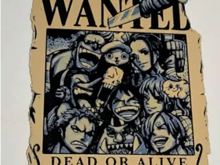 One Piece Wanted