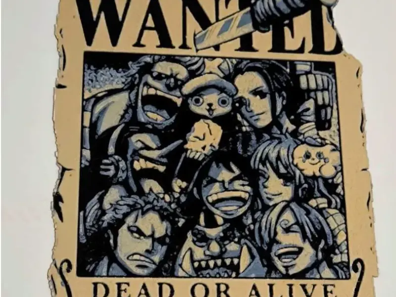 One Piece Wanted