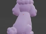 French Poodle-3