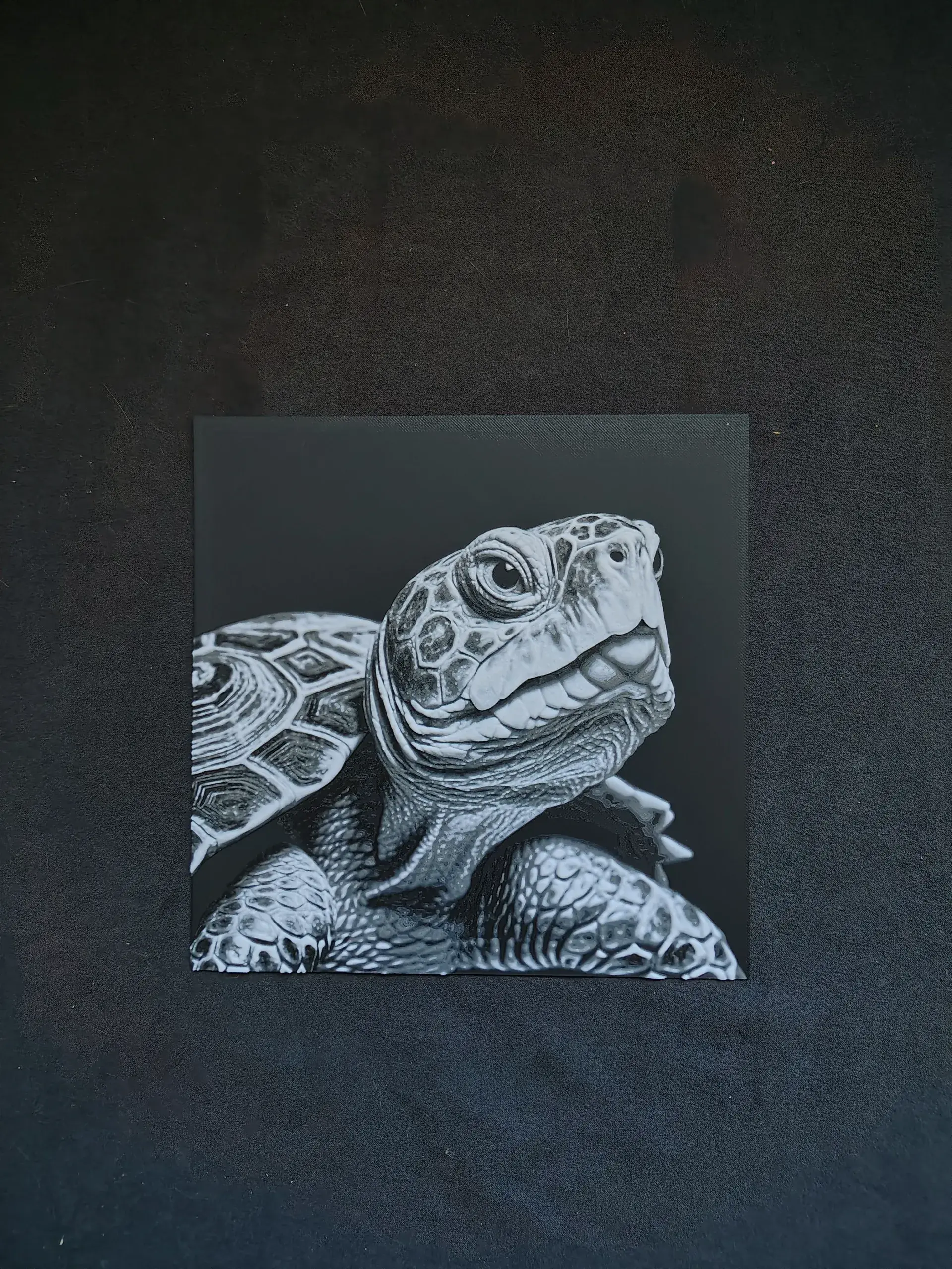 3D Printer Files | 3MF File | Turtle | Creality Cloud