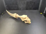 Skull Dagger-4