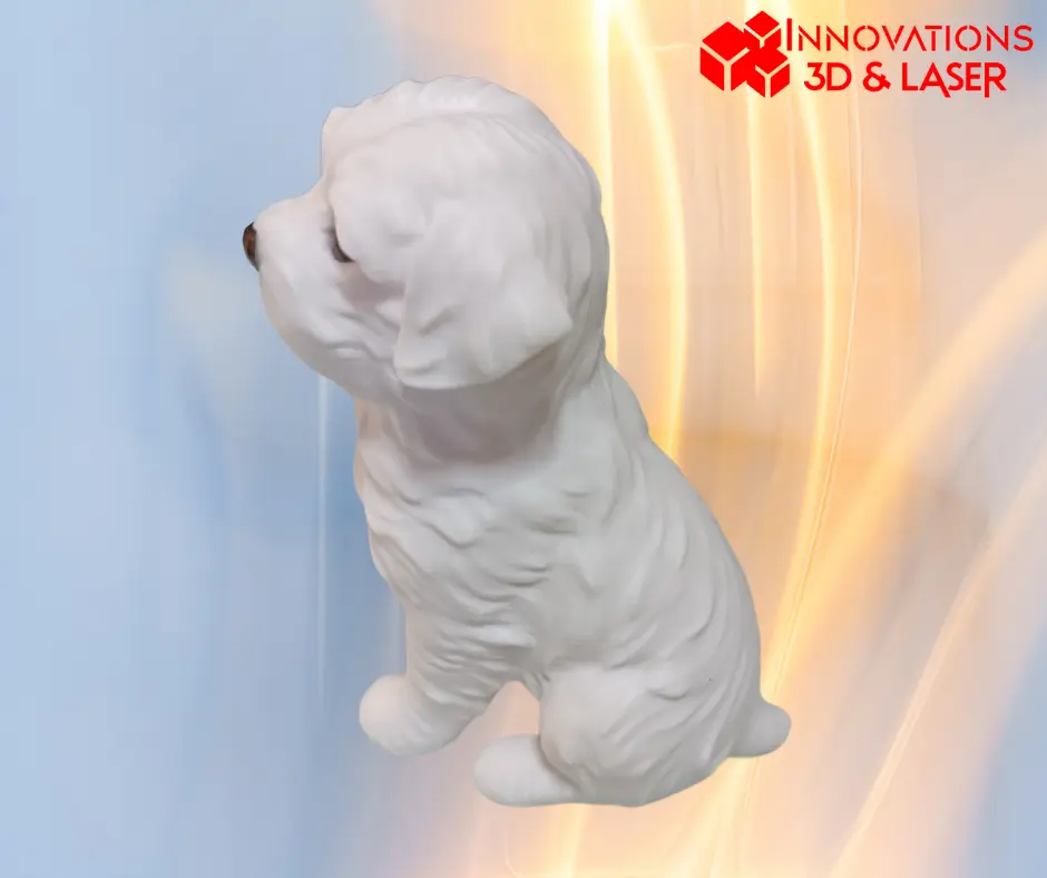 Perro maltés - Bichon Maltais