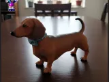 Perro Salchicha de Pie-2