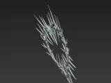 prickly heart-1