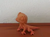 Cute Gecko-2