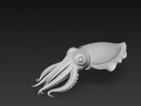 cuttlefish-1