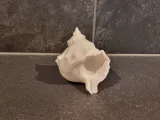 Shell Decor-3