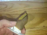 Bigfoot Toe -3