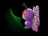 METAPOD EVOLUCION-3