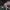 Barbarian -Tabaxi Caravan -Presupported - Illustrated and St