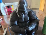 gorilla-0