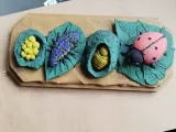 Ladybug Life Cycle – Educational Model-2