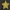 Star (big) Lightbox 31cm