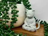 Meditating cat-1