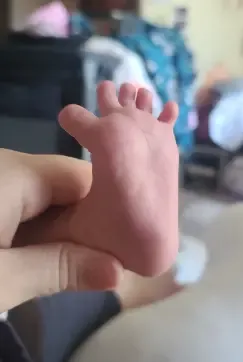 Foot