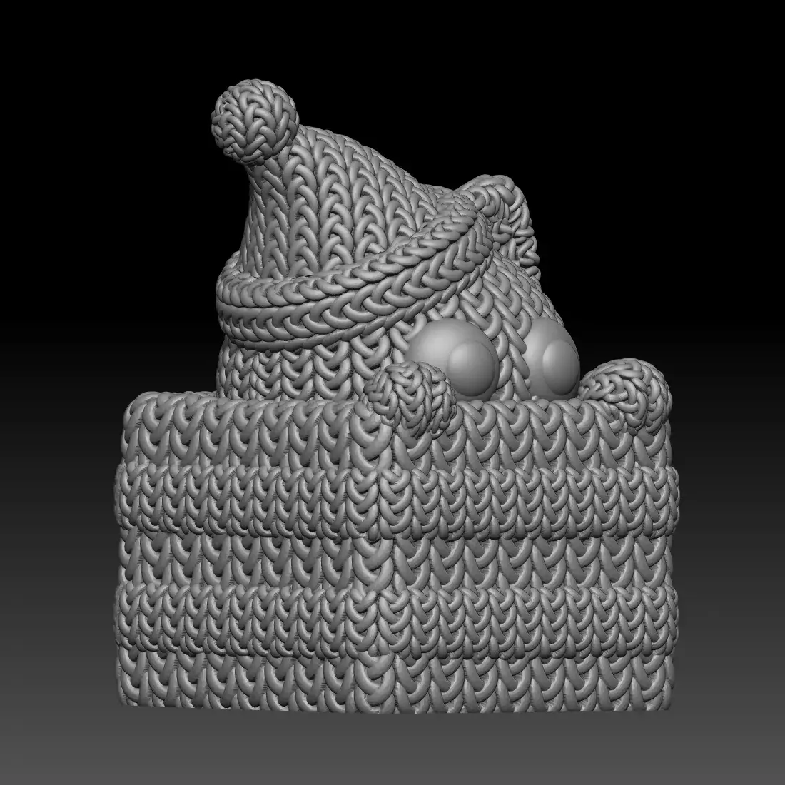 Knitted Cat Gift Box