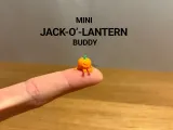 Mini Compagno Jack-O'-Lantern-0