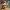 DONALD DUCK by STAR WARS FUNKOPOP