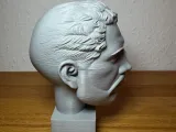 Scultura anatomica (volto diviso)-4