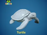 Sea turtle model - Turtle statue - 3D print-3