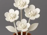 White flowers-0