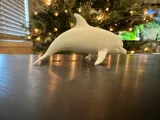 Dolphin-3