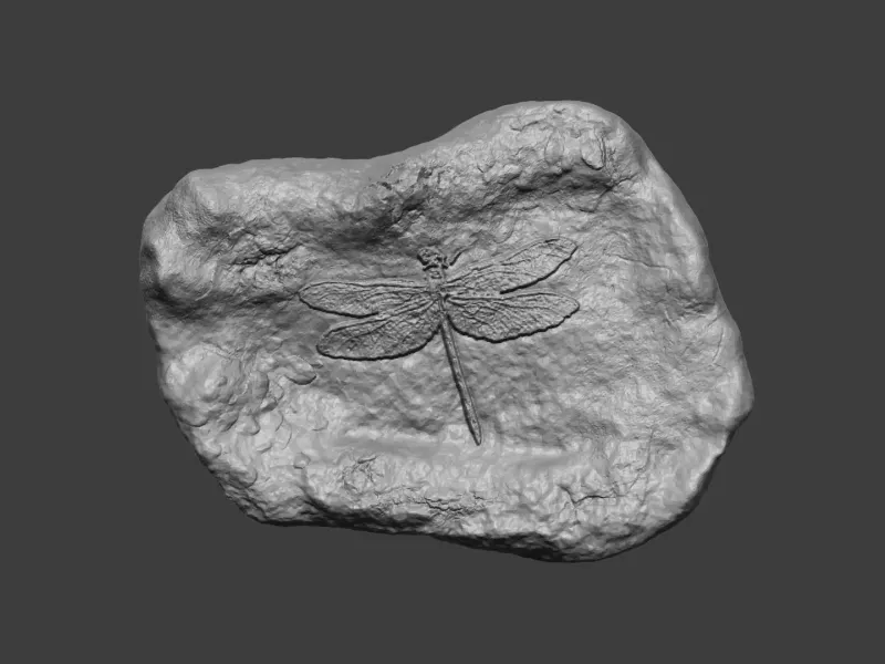 Yusufçuk Mineral Fosili - Gerçekçi Yazdırılabilir Reçine